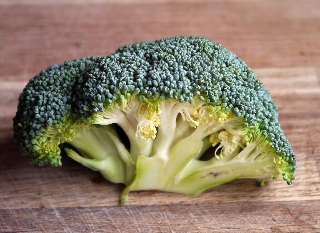 A cut of Broccoli vegetable