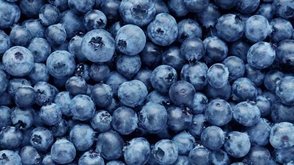 Blueberries As Blue Day Snack Celebrations